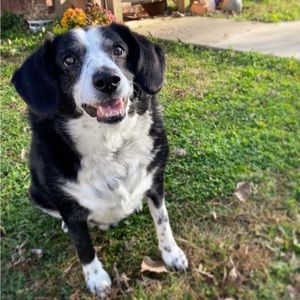 Meet your Posher, Edith